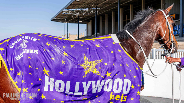 COULD BE MAGIC AT FAIRVIEW