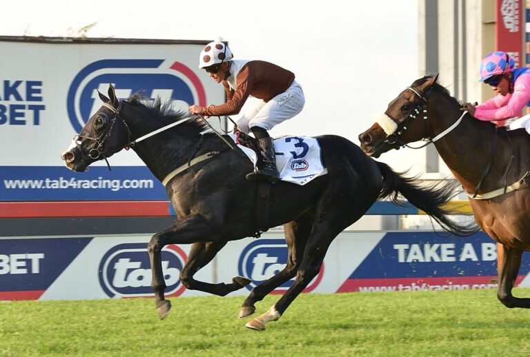 Countdown to Championship Finale: Highveld Summer Season enters the Home Straight