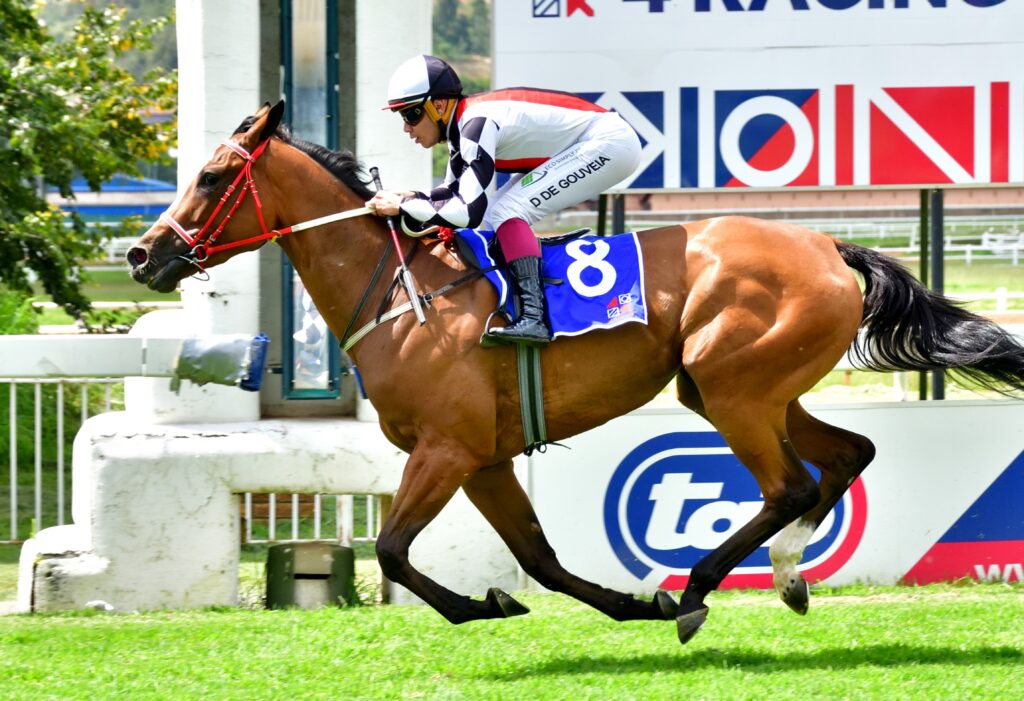 Course favours Tulip Tree