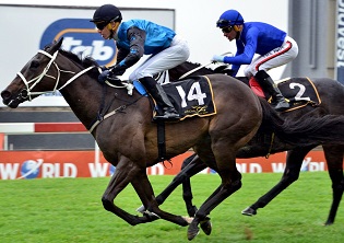 Course to suit Winter Smoke