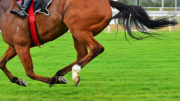 CRADOCK PLACE STAKES