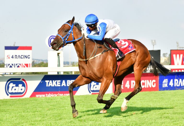 Cullinan Blue stands out in Swallow Stakes