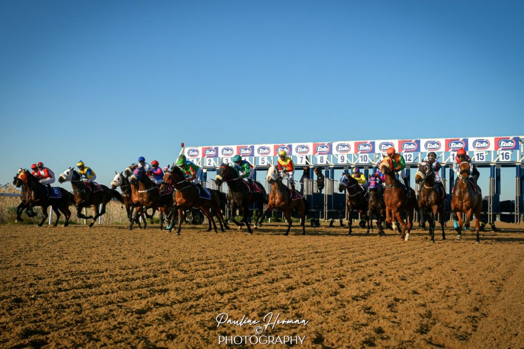 DAHLIA, DERBY MOVED TO POLYTRACK