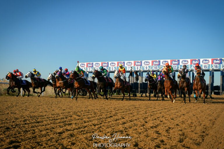 DAHLIA, DERBY MOVED TO POLYTRACK