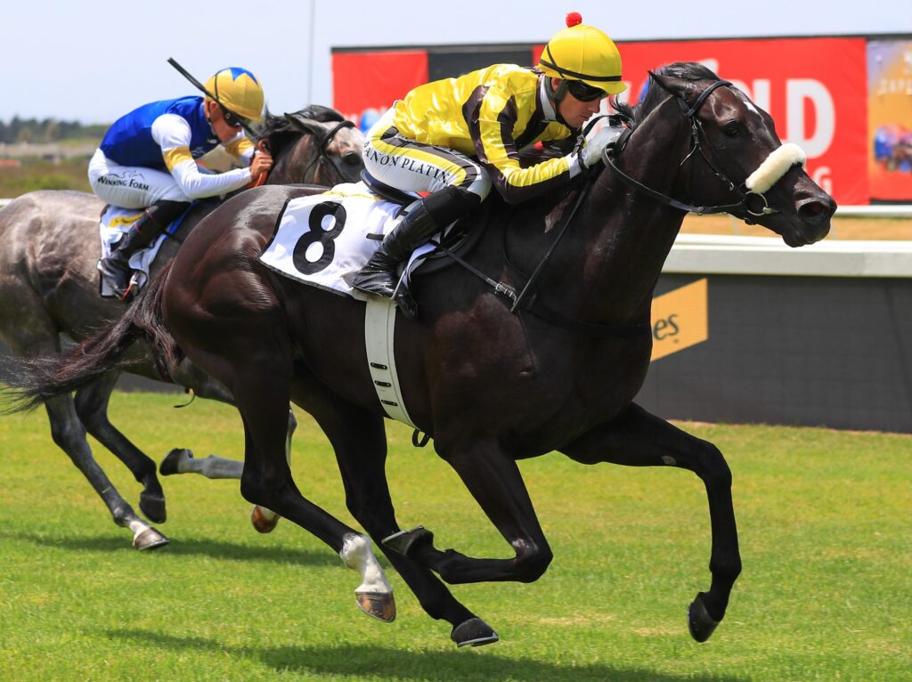 Daily News, Woolavington final fields