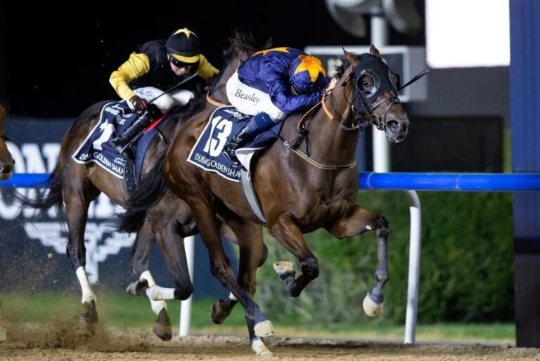 Dark Saffron to bounce back at Meydan