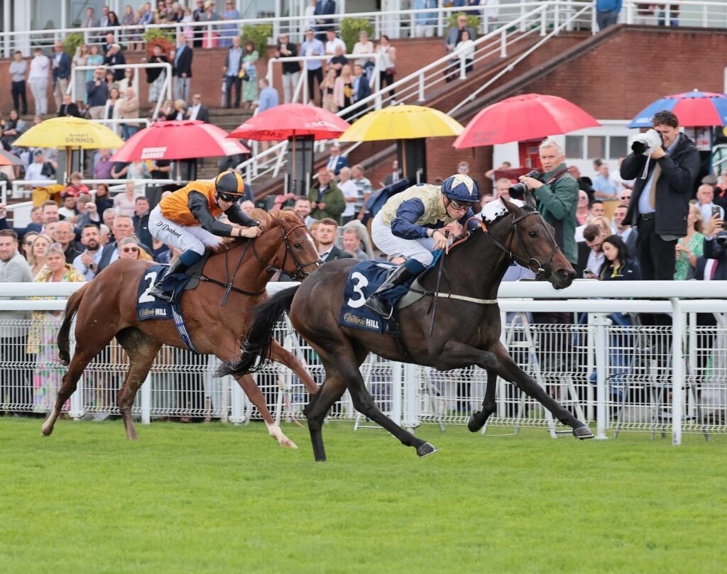 Darnation can Deliver in May Hill