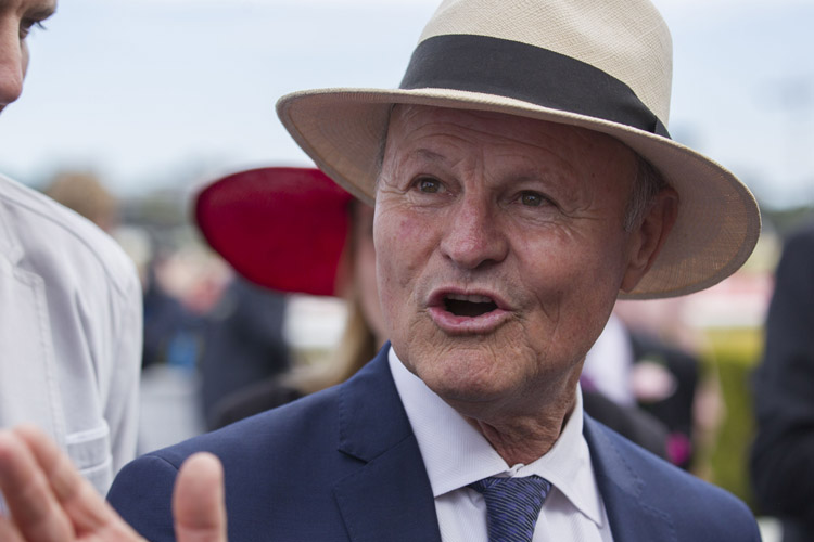 David Payne chases major Cup win