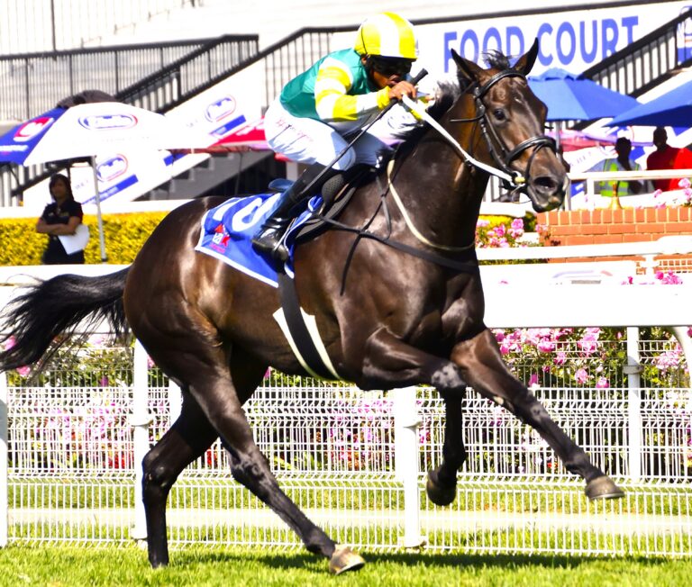 Dawson duo could dominate Turffontein handicap