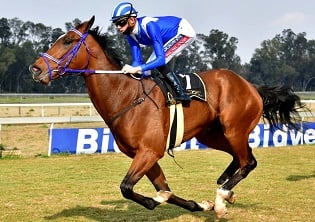 De Kock duo stand out