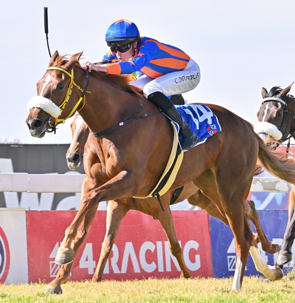 De Kock juveniles to score again