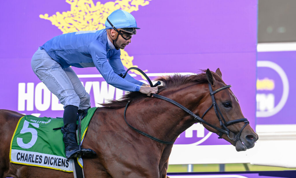 Delectable clash in Hollywoodbets Cape Guineas