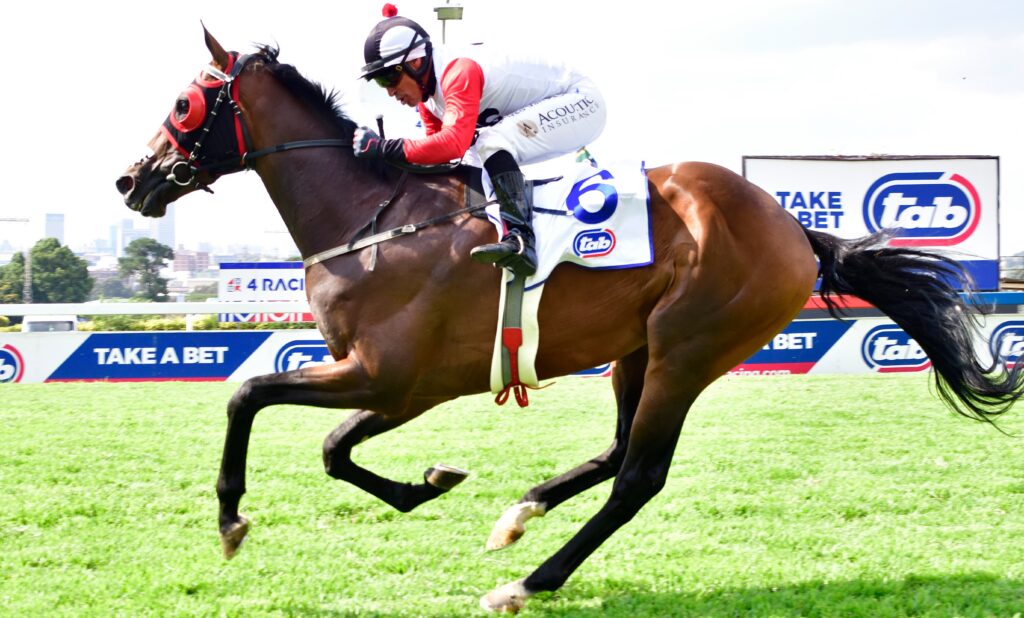 Derby prep for Marauding Horde