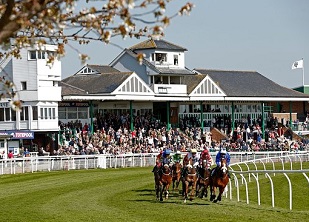 Diamond looks a sparkling bet at Catterick