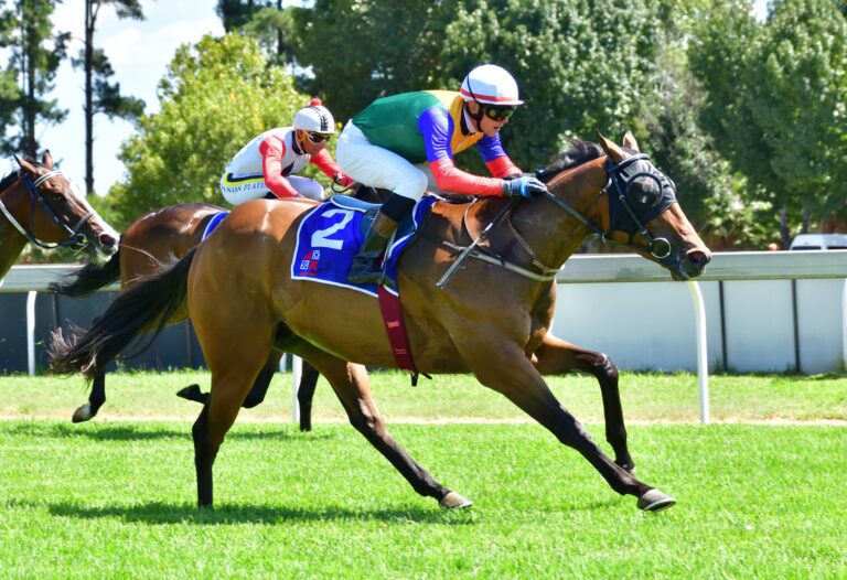 Dizzy heights for Axel Collins