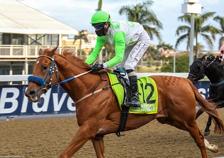 Donald stands out at Greyville