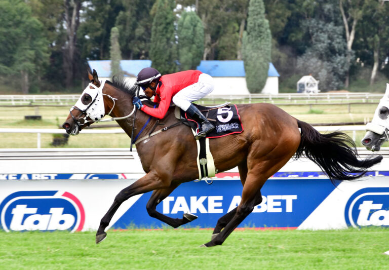 Don’t ignore King’s Express, says Habib