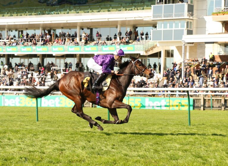 Dotty For Lawrence At Ayr