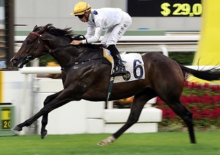 Draw to suit Purton in Hong Kong Mile