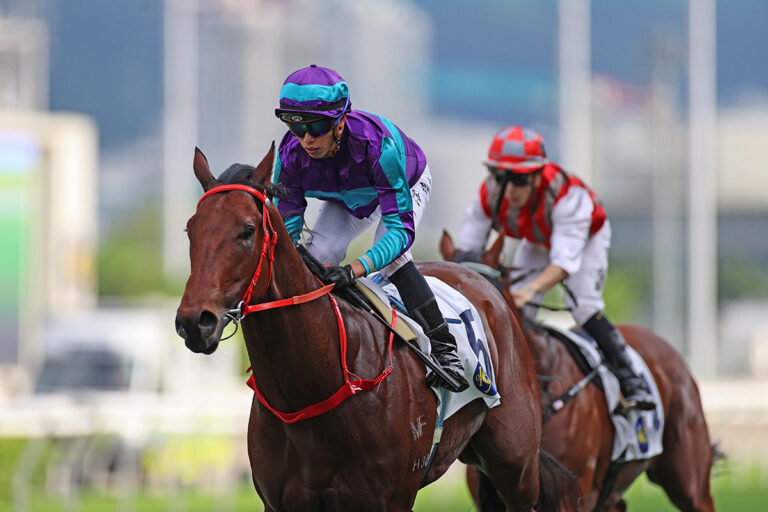 Dream Winner in quality Hong Kong dash