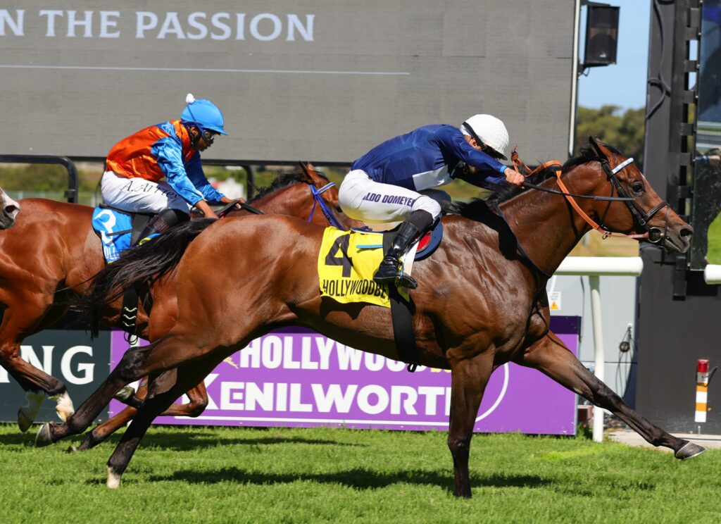 Dreamworld ready to show his class