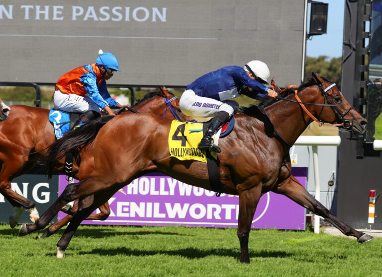 Dreamworld ready to show his class