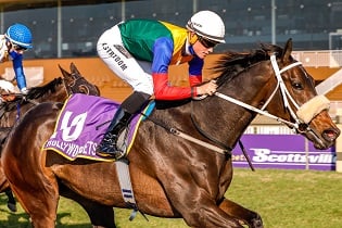 Drill Hall Stakes a real tester