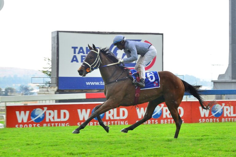 Drink  a toast to Soma