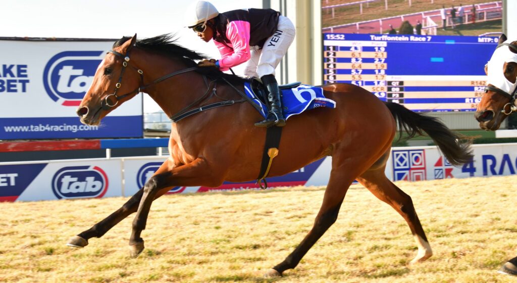 Drop in class favours Electric Gold