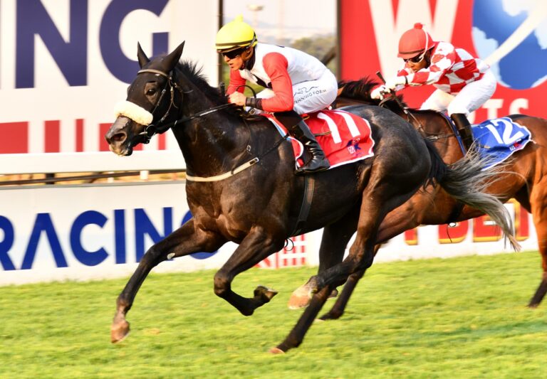 Drop in trip to suit Kalahari Blue