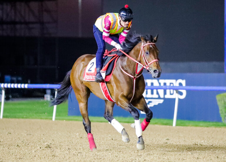 Dubai World Cup – race-by-race analysis