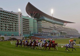 Dubai World Cup Race-By-Race