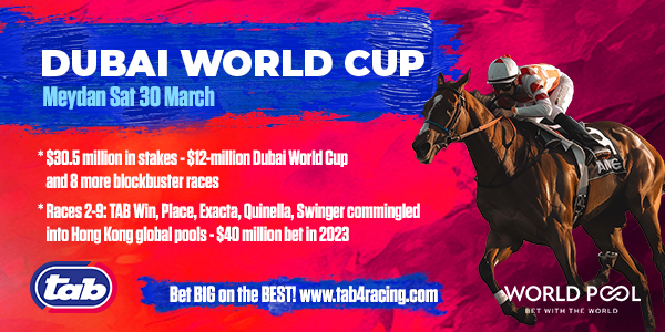 Dubai World Cup Race Guides