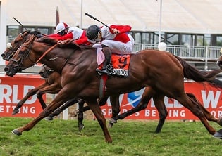 Ducat set for a golden return