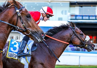 Durban July final field