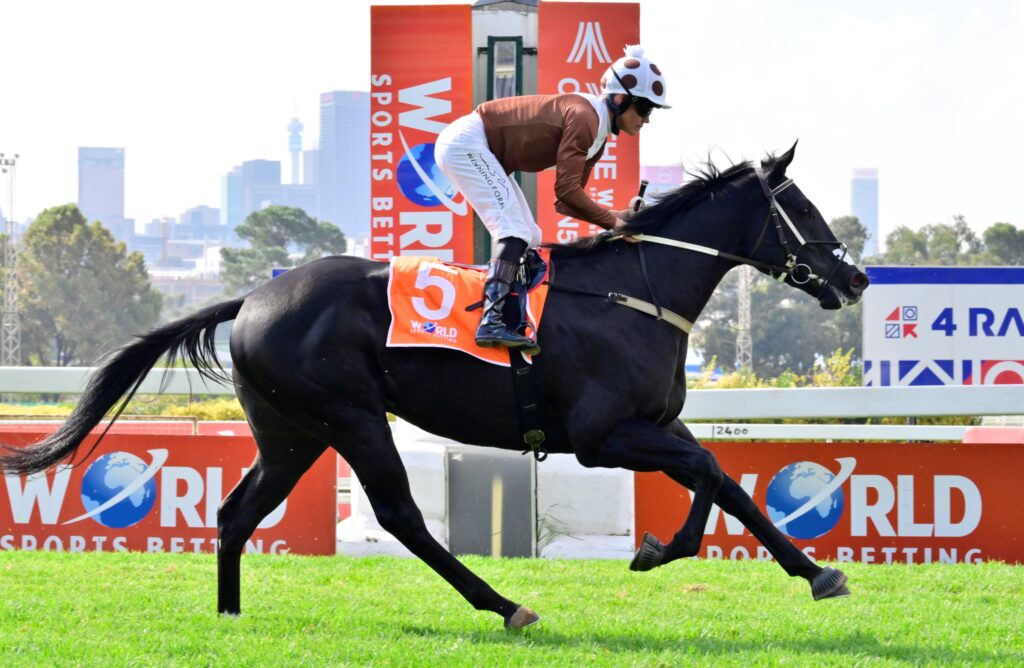 Early betting for Scottsville G1 Sprints