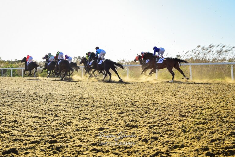 Eastern Cape Awards to be presented on Saturday