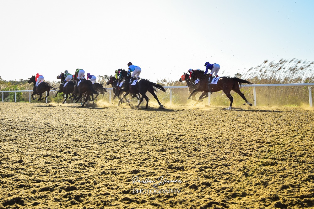 Eastern Cape Awards to be presented on Saturday