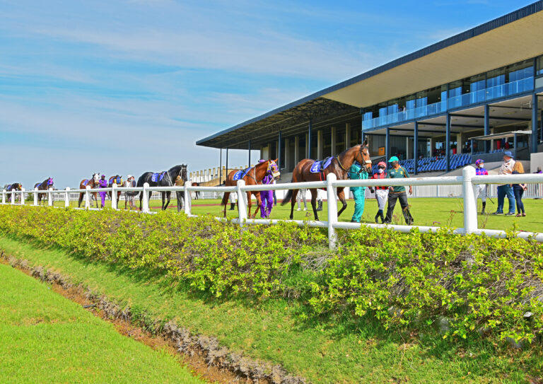 Eastern Cape to honour champions