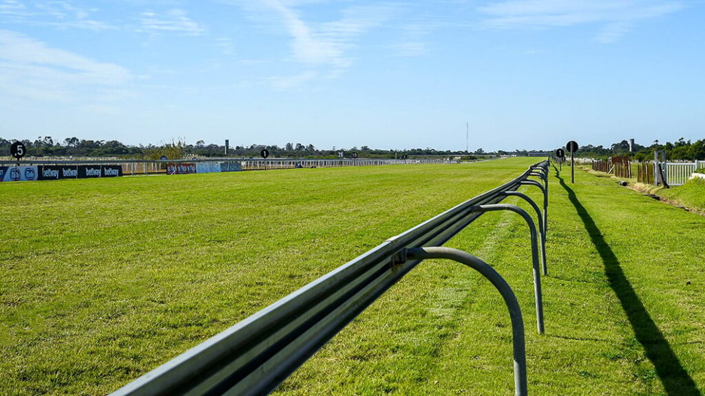 EC – two listed on friday