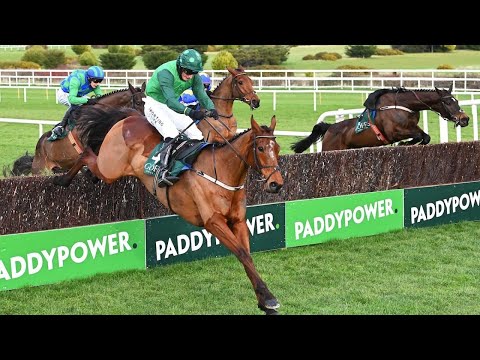 El Fabiolo to be crowned champion