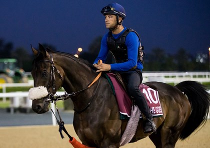 El Patriota for Listed success in Abu Dhabi