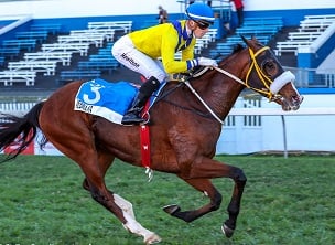 Electrifying finale to season