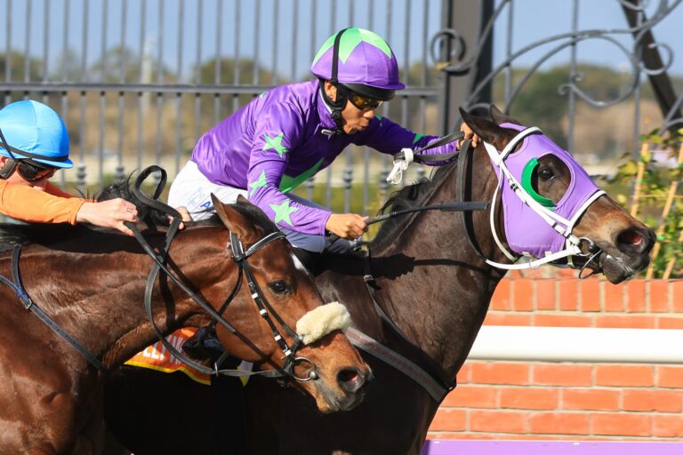 Elusive Winter stands out in the Cape