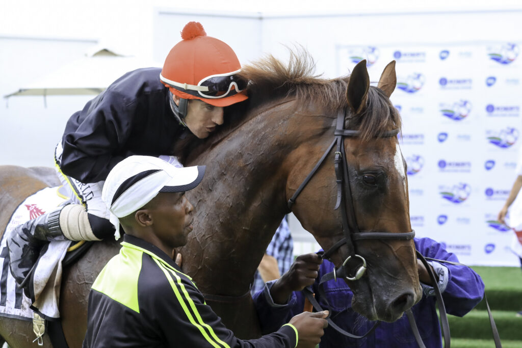 Entries for Derby Day at Turffontein