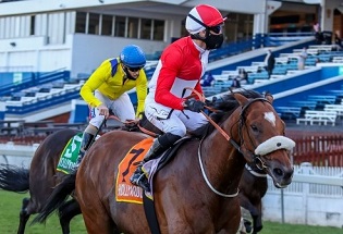 Entries for Gold Cup meeting