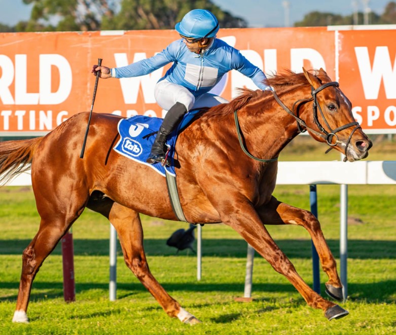 Entries for L’Ormarins King’s Plate