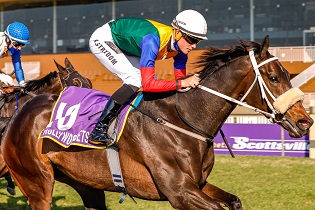 Entries for WSB Grand Heritage