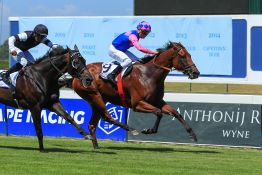 Excitement mounts for Suzette and Basie