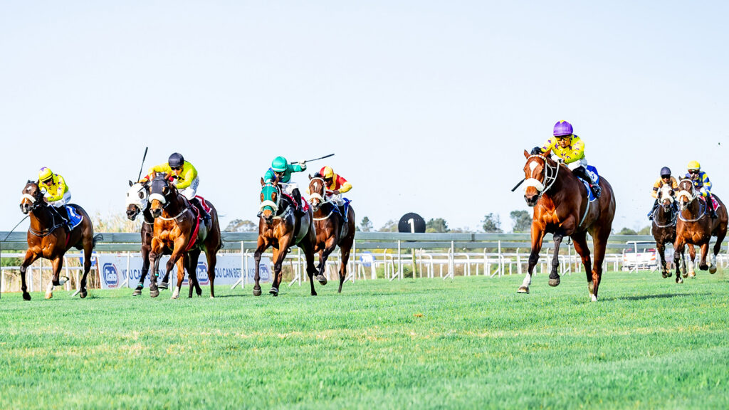 EXCITING REMATCH IN CRADOCK PLACE STAKES